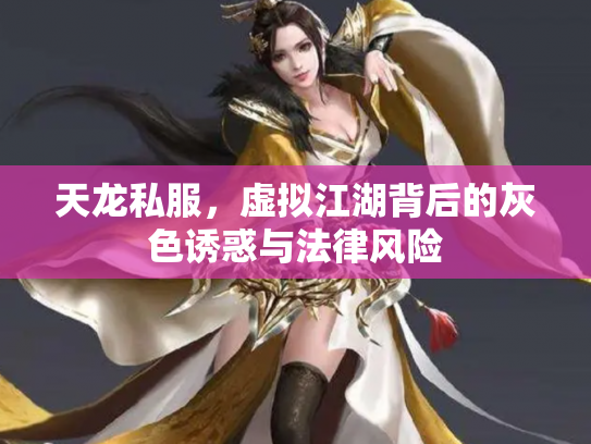 天龙私服，虚拟江湖背后的灰色诱惑与法律风险