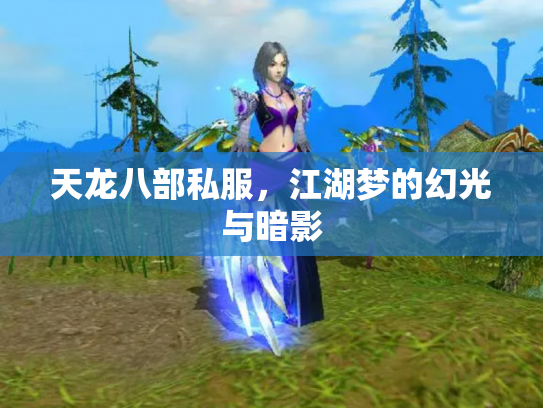 天龙八部私服，江湖梦的幻光与暗影