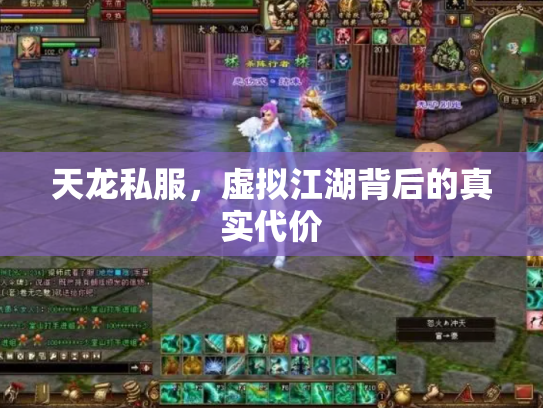 天龙私服，虚拟江湖背后的真实代价