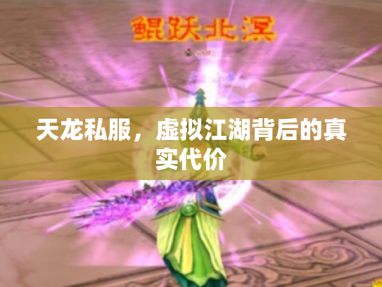 天龙私服，虚拟江湖背后的真实代价