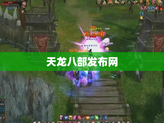 天龙八部发布网