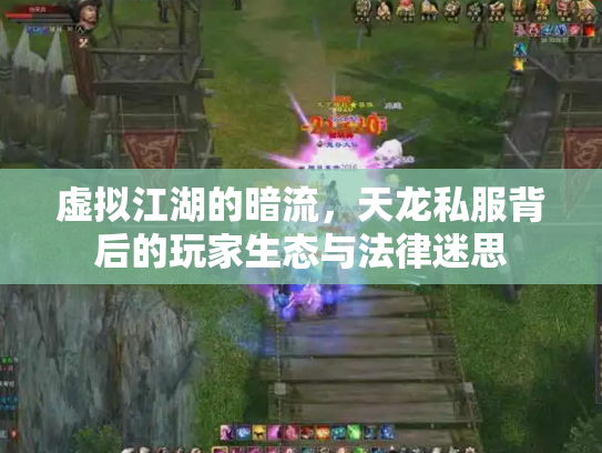 虚拟江湖的暗流，天龙私服背后的玩家生态与法律迷思