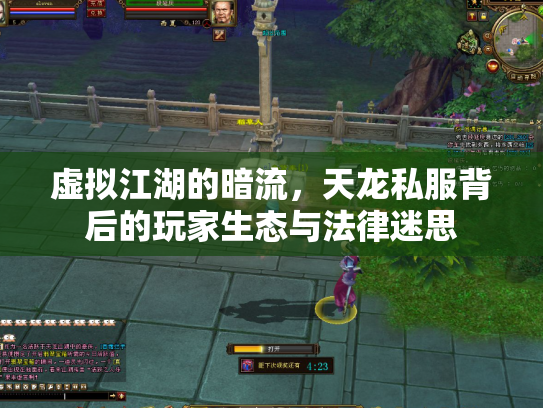 虚拟江湖的暗流，天龙私服背后的玩家生态与法律迷思