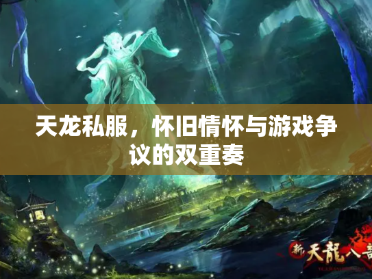 天龙私服，怀旧情怀与游戏争议的双重奏