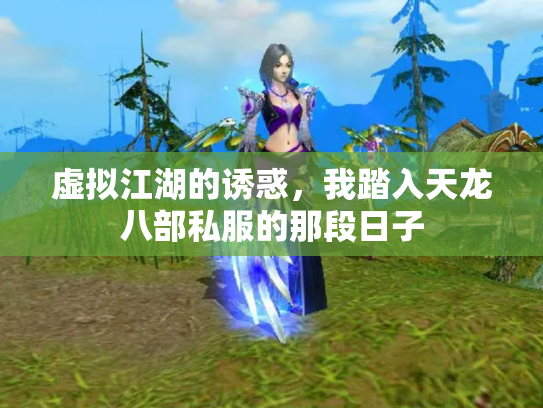 虚拟江湖的诱惑，我踏入天龙八部私服的那段日子