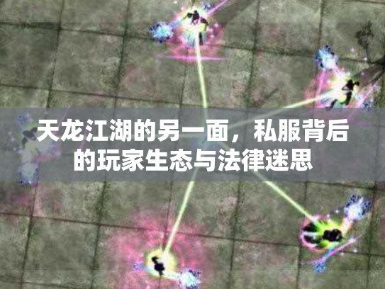 天龙江湖的另一面，私服背后的玩家生态与法律迷思