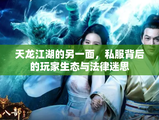 天龙江湖的另一面，私服背后的玩家生态与法律迷思