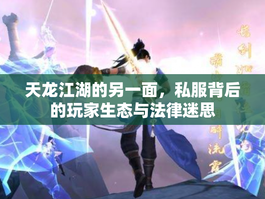 天龙江湖的另一面，私服背后的玩家生态与法律迷思
