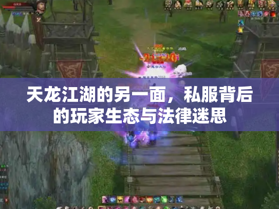 天龙江湖的另一面，私服背后的玩家生态与法律迷思