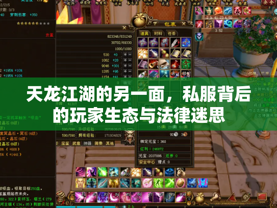 天龙江湖的另一面，私服背后的玩家生态与法律迷思