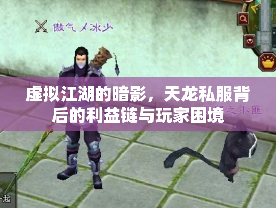 虚拟江湖的暗影，天龙私服背后的利益链与玩家困境