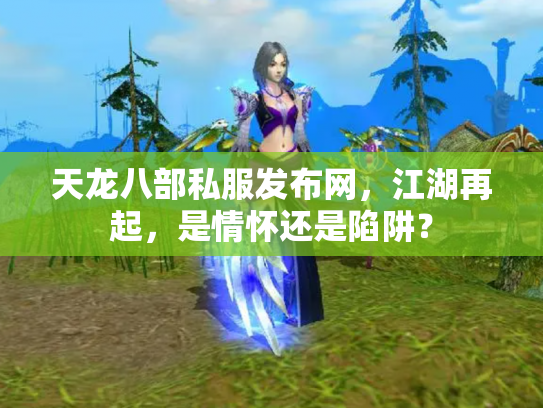 天龙八部私服发布网，江湖再起，是情怀还是陷阱？