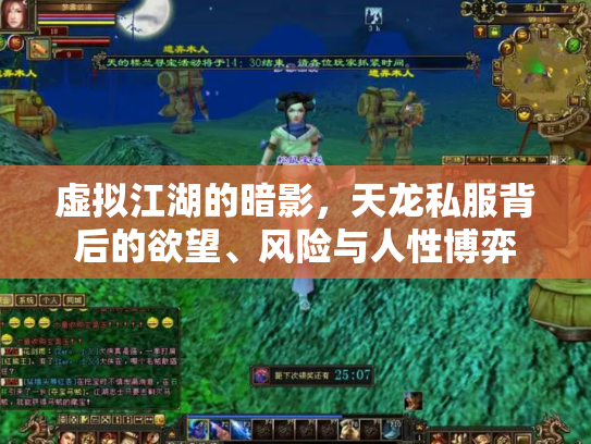 虚拟江湖的暗影，天龙私服背后的欲望、风险与人性博弈