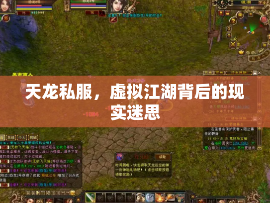 天龙私服，虚拟江湖背后的现实迷思