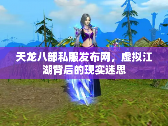 天龙八部私服发布网，虚拟江湖背后的现实迷思