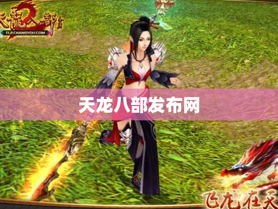 天龙八部发布网