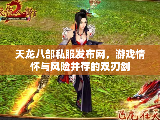 天龙八部私服发布网，游戏情怀与风险并存的双刃剑