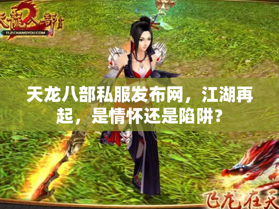 天龙八部私服发布网，江湖再起，是情怀还是陷阱？