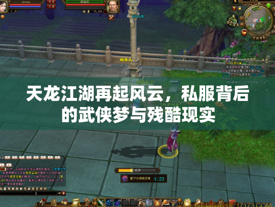 天龙江湖再起风云，私服背后的武侠梦与残酷现实