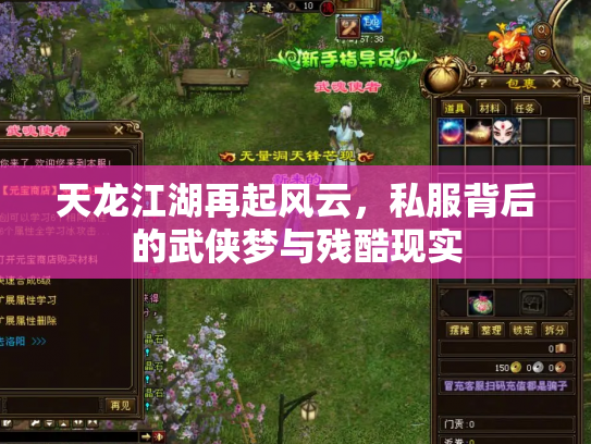 天龙江湖再起风云，私服背后的武侠梦与残酷现实