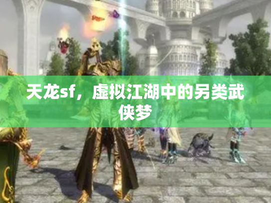 天龙sf，虚拟江湖中的另类武侠梦