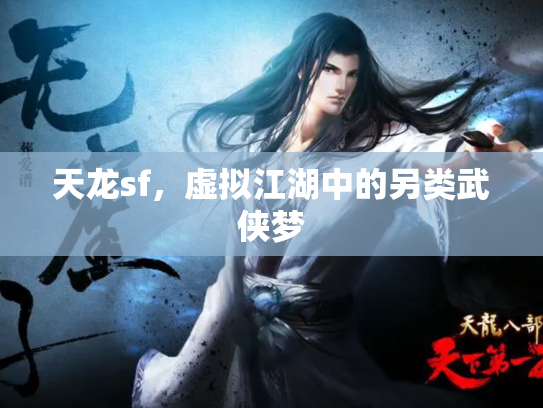 天龙sf，虚拟江湖中的另类武侠梦