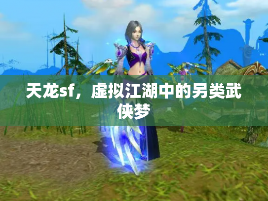 天龙sf，虚拟江湖中的另类武侠梦