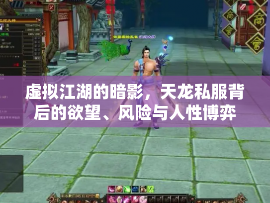 虚拟江湖的暗影，天龙私服背后的欲望、风险与人性博弈