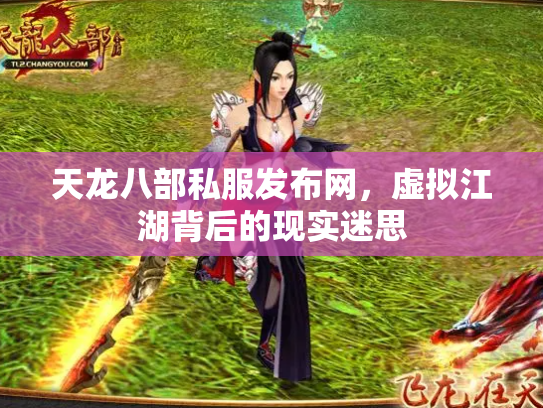 天龙八部私服发布网，虚拟江湖背后的现实迷思
