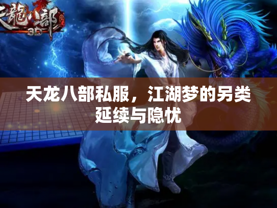 天龙八部私服，江湖梦的另类延续与隐忧