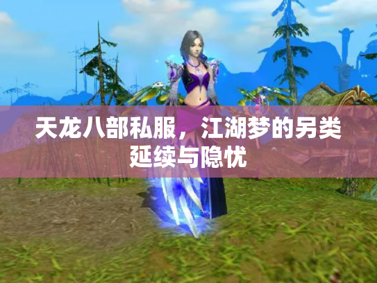 天龙八部私服，江湖梦的另类延续与隐忧
