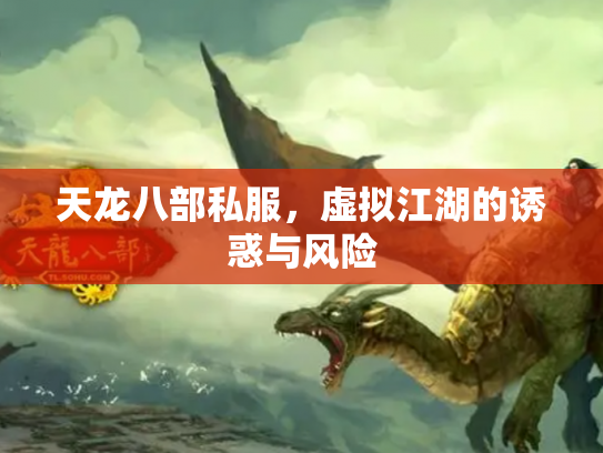 天龙八部私服，虚拟江湖的诱惑与风险