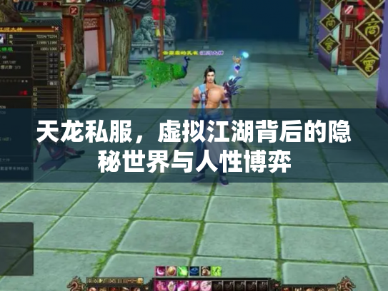 天龙私服，虚拟江湖背后的隐秘世界与人性博弈