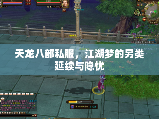 天龙八部私服，江湖梦的另类延续与隐忧