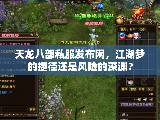 天龙八部私服发布网，江湖梦的捷径还是风险的深渊？