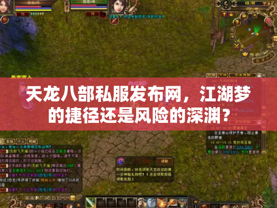 天龙八部私服发布网，江湖梦的捷径还是风险的深渊？