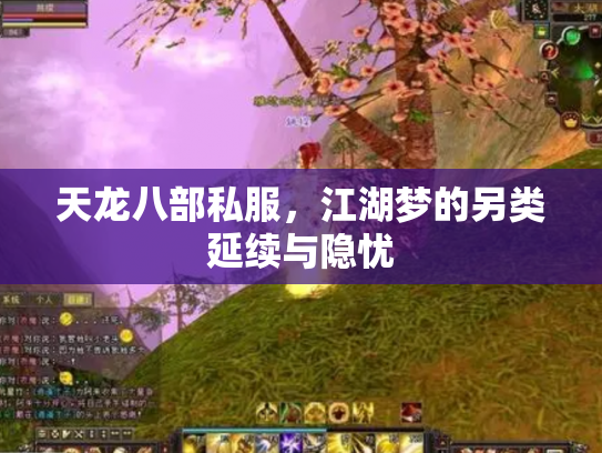 天龙八部私服，江湖梦的另类延续与隐忧