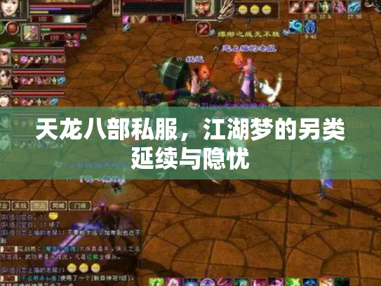 天龙八部私服，江湖梦的另类延续与隐忧