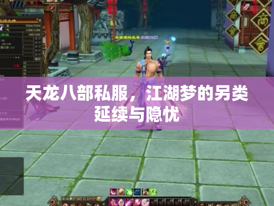 天龙八部私服，江湖梦的另类延续与隐忧
