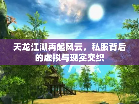 天龙江湖再起风云，私服背后的虚拟与现实交织