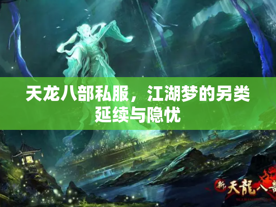 天龙八部私服，江湖梦的另类延续与隐忧