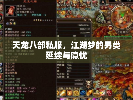 天龙八部私服，江湖梦的另类延续与隐忧