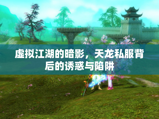 虚拟江湖的暗影，天龙私服背后的诱惑与陷阱