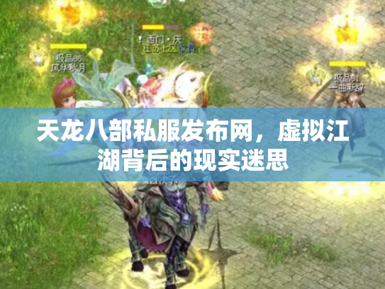 天龙八部私服发布网，虚拟江湖背后的现实迷思