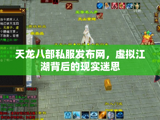 天龙八部私服发布网，虚拟江湖背后的现实迷思