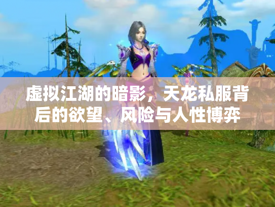 虚拟江湖的暗影，天龙私服背后的欲望、风险与人性博弈