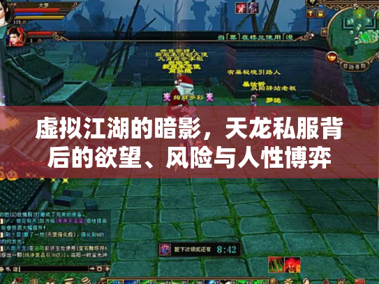 虚拟江湖的暗影，天龙私服背后的欲望、风险与人性博弈