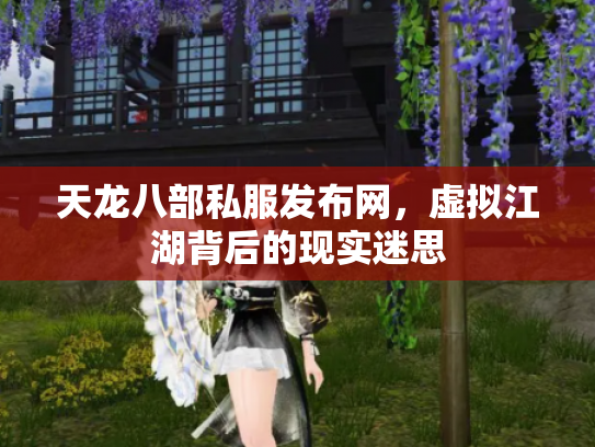 天龙八部私服发布网，虚拟江湖背后的现实迷思
