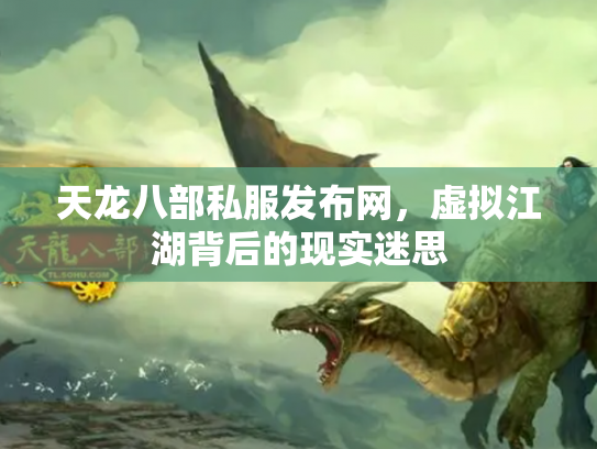 天龙八部私服发布网，虚拟江湖背后的现实迷思