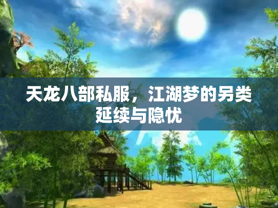 天龙八部私服，江湖梦的另类延续与隐忧